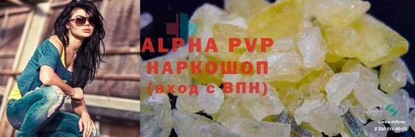 apvp Ельня