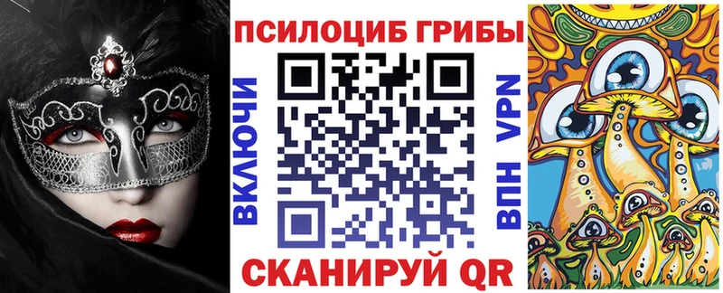 Псилоцибиновые грибы мицелий  Камбарка 
